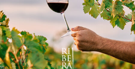 cata-vinos-web